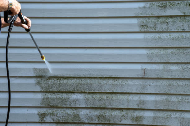 Affordable siding repair and maintenance services in Milan, TN